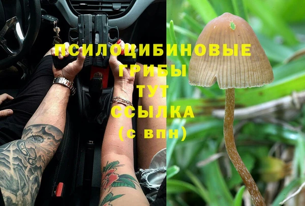 mdpv Бронницы