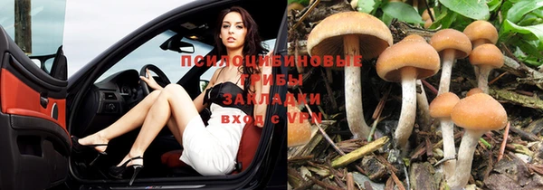mdpv Бронницы