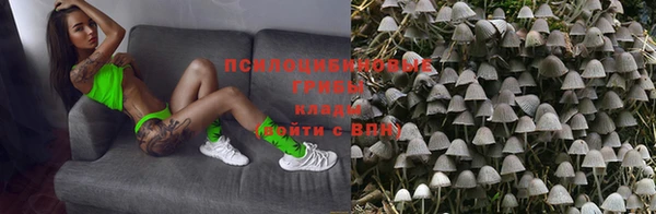 соль ск Богородск